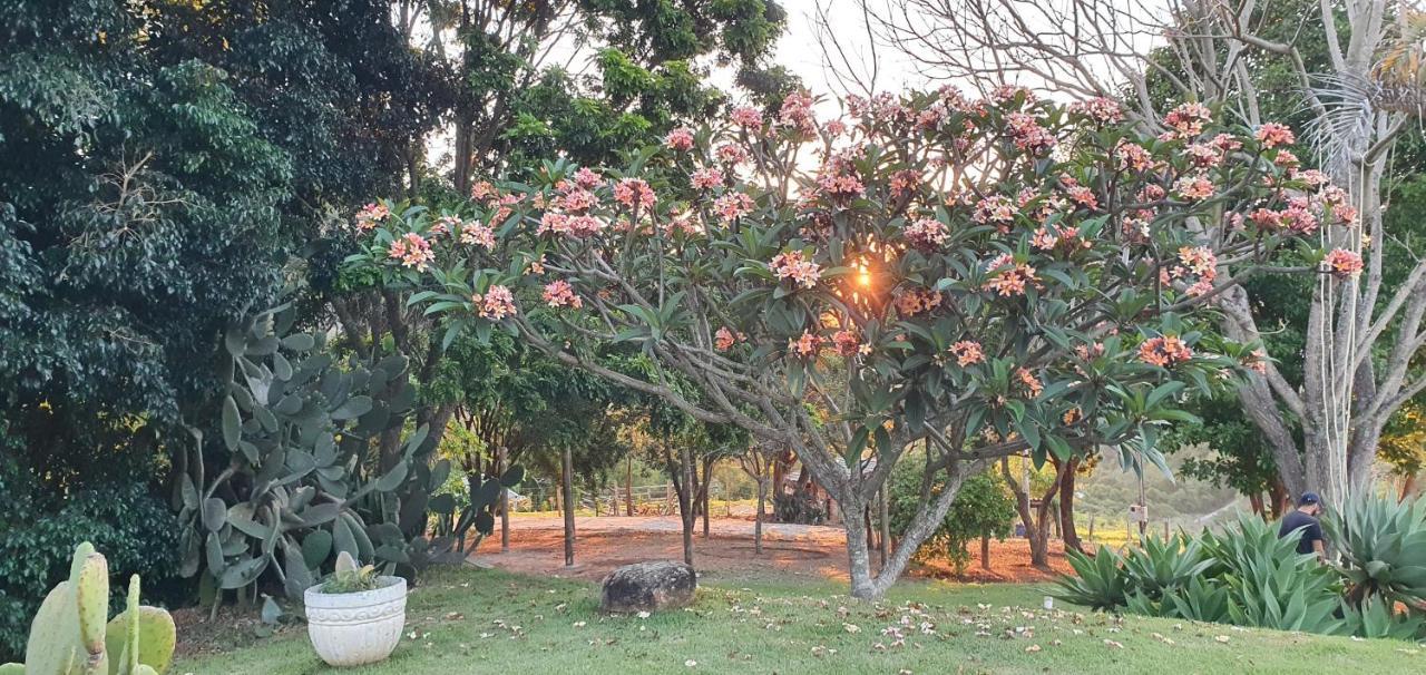 Ellementares Guest House Socorro  Esterno foto